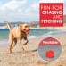  Dog Squeaky Toys Toothbrush Chew Toy  with Non-Toxic Natural Rubber  for Medium & Large Dogs