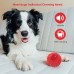  Dog Squeaky Toys Toothbrush Chew Toy  with Non-Toxic Natural Rubber  for Medium & Large Dogs
