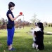  Dog Squeaky Toys Toothbrush Chew Toy  with Non-Toxic Natural Rubber  for Medium & Large Dogs